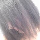 Federica8015 Federica8015