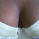 rosaeroticalatina rosaeroticalatina