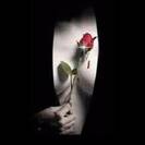 Calda_Veronyka Calda_Veronyka